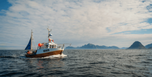 Wat is visolie en wat zijn de voordelen arctic blue