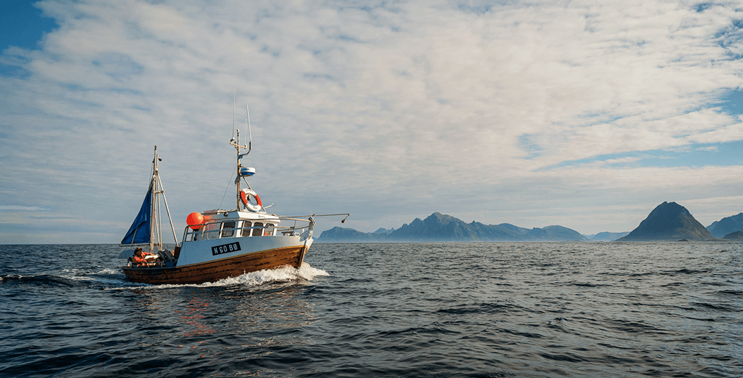 Tijdig Harmonie Koninklijke familie Visolie voordelen: capsules of olie bestellen | Arctic Blue