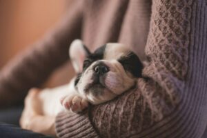 Puppy omega 3