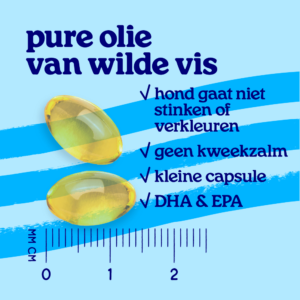 2311 arcticblue webshop carousel2