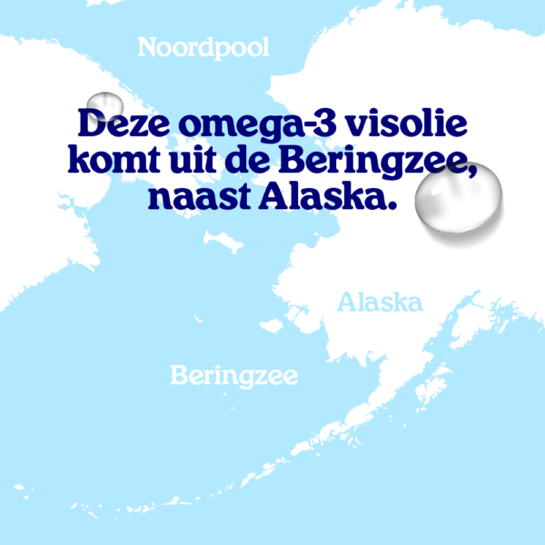 2406 arcticblue carousel webshop nl 27