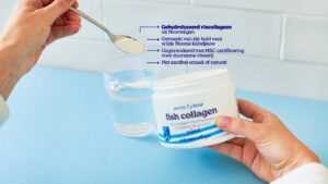 251106 arcticblue homepage banner 17