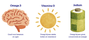 Omega 3 jodium vit d