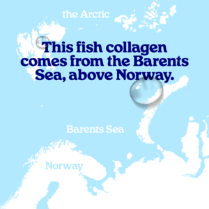 En viscollageen poeder aardbei 9