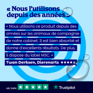 Fr-visolie-hond-2 3 Fr visolie hond 2