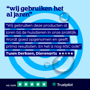 Visolie-hond-2 3 Visolie hond 2