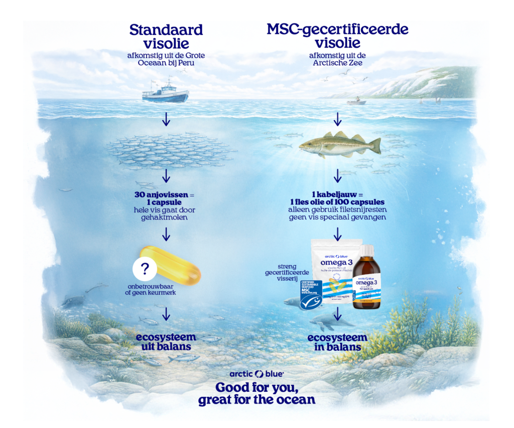 Algenolie of visolie, wat is het verschil? 3 Algenolie of visolie: standaard visolie vs. Gecertificeerde visolie