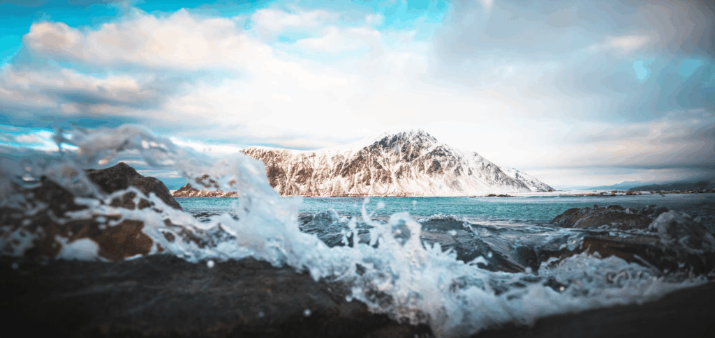 Triglyceriden: wat zijn het en wat zijn normale waarden? 4 Triglyceriden gezond gehalte arctic blue