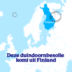 Duindoornbesolie