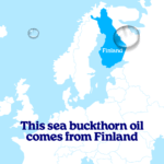Sea buckthorn oil