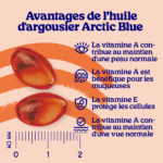 Huile de baies d'argousier